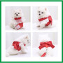 Luxury Pet Apparel Dog Dresses - Dog Birthday Wedding Dresses Tuxedo