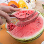 Stainless Steel Melon Watermelon Slicer Corer Fruit Cutters