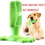 Chew Toothbrush Toy