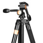 SLR tripod, heightened, lightly loaded era, Q620, stable, tall, large photographic tripod, damping three-dimensional head-Alibaba