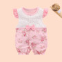 Summer Newborn Baby Lace Net Yarn One-piece Baby Full Moon Clothes Out Clothes Free Bib