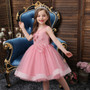 children cross-border new flower girl girl catwalk dress dress children puffy mesh princess dress costume