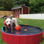 PawSwim - Collapsible Dog Swimming Pool