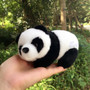 Cute Stuffed Panda Animal Doll Toy