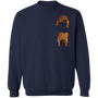 Dachshund Sweater Inside Pocket Cute Dachshund Clothes