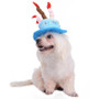 Dog Happy Birthday Hat