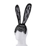Sexy Bunny Lace Headband Mask