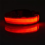 Safety LED Night Glow Pet Collar