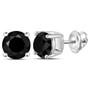 Earrings |  10kt White Gold Unisex Round Black Color Enhanced Diamond Solitaire Stud Earrings 4 Cttw |  Splendid Jewellery