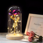 LED Beauty And The Beast Rose