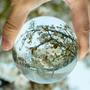 Crystal Ball Photography