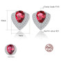 925 Sterling Silver Jewelry Gemstone Earrings