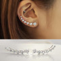 Shiny Silver Stud Stone Set Earrings For Women