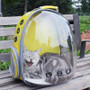 Transparent Pet Backpack