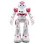 The Original Humanoid Robot Toy