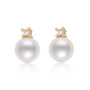 Natural Cultured Freshwater Pearl Earring