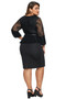 Plus Size Lace Bodice Peplum Dress with Belt