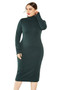 Turtleneck Long Sleeve Solid Knit Dress