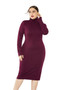 Turtleneck Long Sleeve Solid Knit Dress