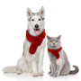Pet Christmas scarf!