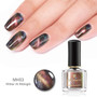 3D Magnetic Glitter Nail Polish 6ml Holographic  Black Base Needed