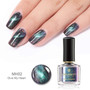 3D Magnetic Glitter Nail Polish 6ml Holographic  Black Base Needed