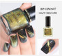 3D Magnetic Glitter Nail Polish 6ml Holographic  Black Base Needed