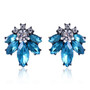 Drop rhinestone earrings