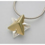 Star Of David Pendant Necklace