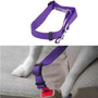 Pet Car Seat Belt