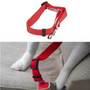 Pet Car Seat Belt