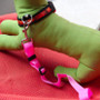 Pet Car Seat Belt