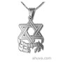 Star Of David Hebrew Name Necklace