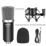 NW700 Professional Studio Music Broadcasting & Recording Condenser Microphone Set