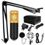 Professional BM 800 Karaoke Condenser Microphone Kits for Computer Studio Recording