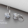 Trendy 925 Sterling Silver Earrings for Women Jewelry Gift