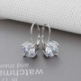 Trendy 925 Sterling Silver Earrings for Women Jewelry Gift