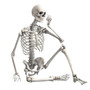 90cm Durable Simulation Humans Skeleton Ornament Halloween Party Bar Haunted House Props