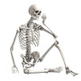 90cm Durable Simulation Humans Skeleton Ornament Halloween Party Bar Haunted House Props