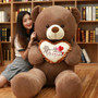 Attractive 1pc I Love You Holding LOVE Heart Soft Teddy Bear