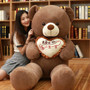 Attractive 1pc I Love You Holding LOVE Heart Soft Teddy Bear