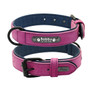 High Quality Leather Collar Leash for Small/Medium/Large Dogs