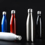 Classic Double-Wall Insulated Vacuum Flask Stainless Steel Sports Water Bottle