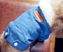 STYLISH and LUXURY Winter Denim Coat for Pet Dogs