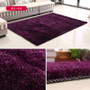 Soft Shaggy Carpet For Living Room High Quality Shiny Silk Rug Nordic Style Long Hair Thickened Washed Non Slip Mat Bedside mat