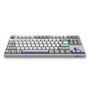 Akko 3087 V2 Silent 87 Keys Mechanical Gaming Keyboard Wired Morandi Grey AKKO Switch PBT Keycap Gaming Keyboard