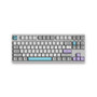 Akko 3087 V2 Silent 87 Keys Mechanical Gaming Keyboard Wired Morandi Grey AKKO Switch PBT Keycap Gaming Keyboard