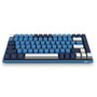 AKKO 3084 SP Ocean Star 84 Keys Mechanical Gaming Keyboard PBT Keycap Cherry Switch USB 2.0 Type-C Wired Side Letter Caverd Design Gaming Keyboard