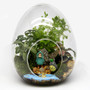 Egg Shaped DIY Moss Micro Landscape Glass Bottle Succulent Plants Vase Home Decoration
