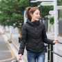 New Fashion Jacket - slim hooded down cotton padded short woman jacket